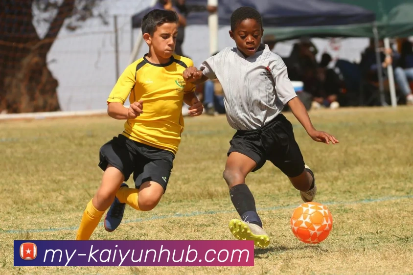 App Interface Preview